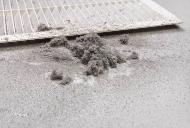 Best Best Air Duct Cleaning Company  in Oakwood, IL